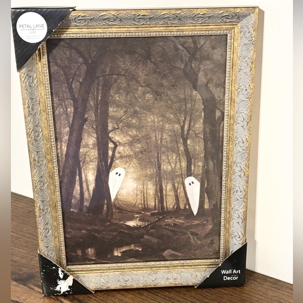 Halloween Petal Lane Vintage Framed Peeking Ghost Wall Art 12" x16" New